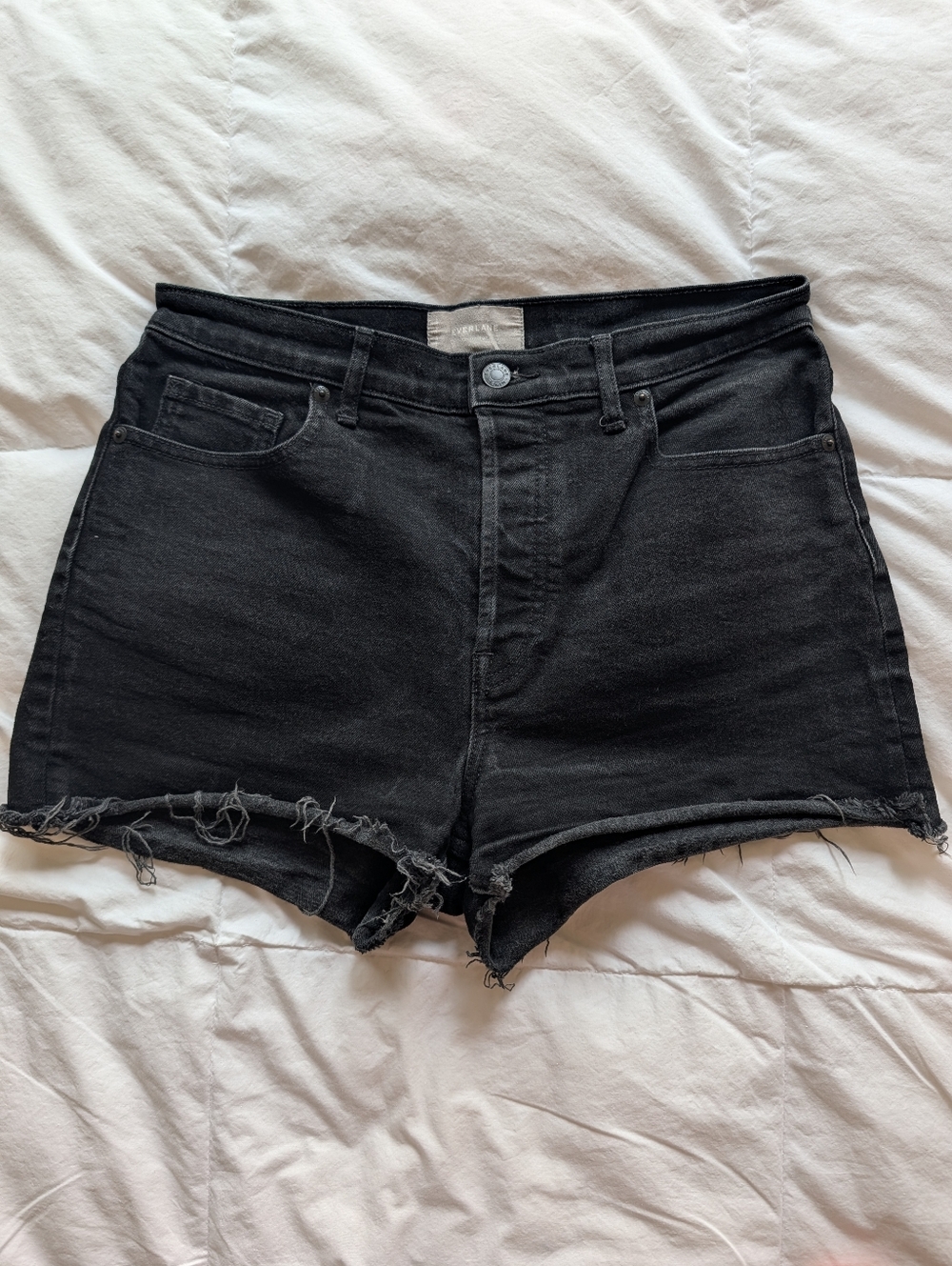 EUC Everlane Cheeky Shorts